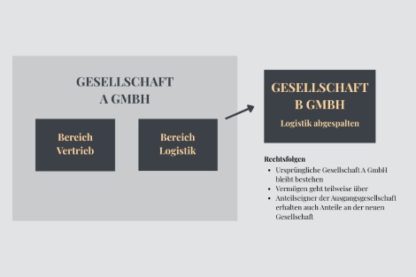 Abspaltung einer GmbH Abspaltung einer GmbH Grafik