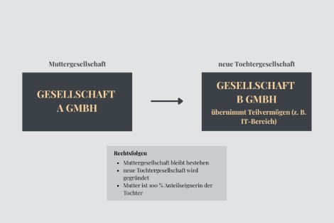Ausgliederung einer GmbH Ausgliederung einer GmbH Grafik