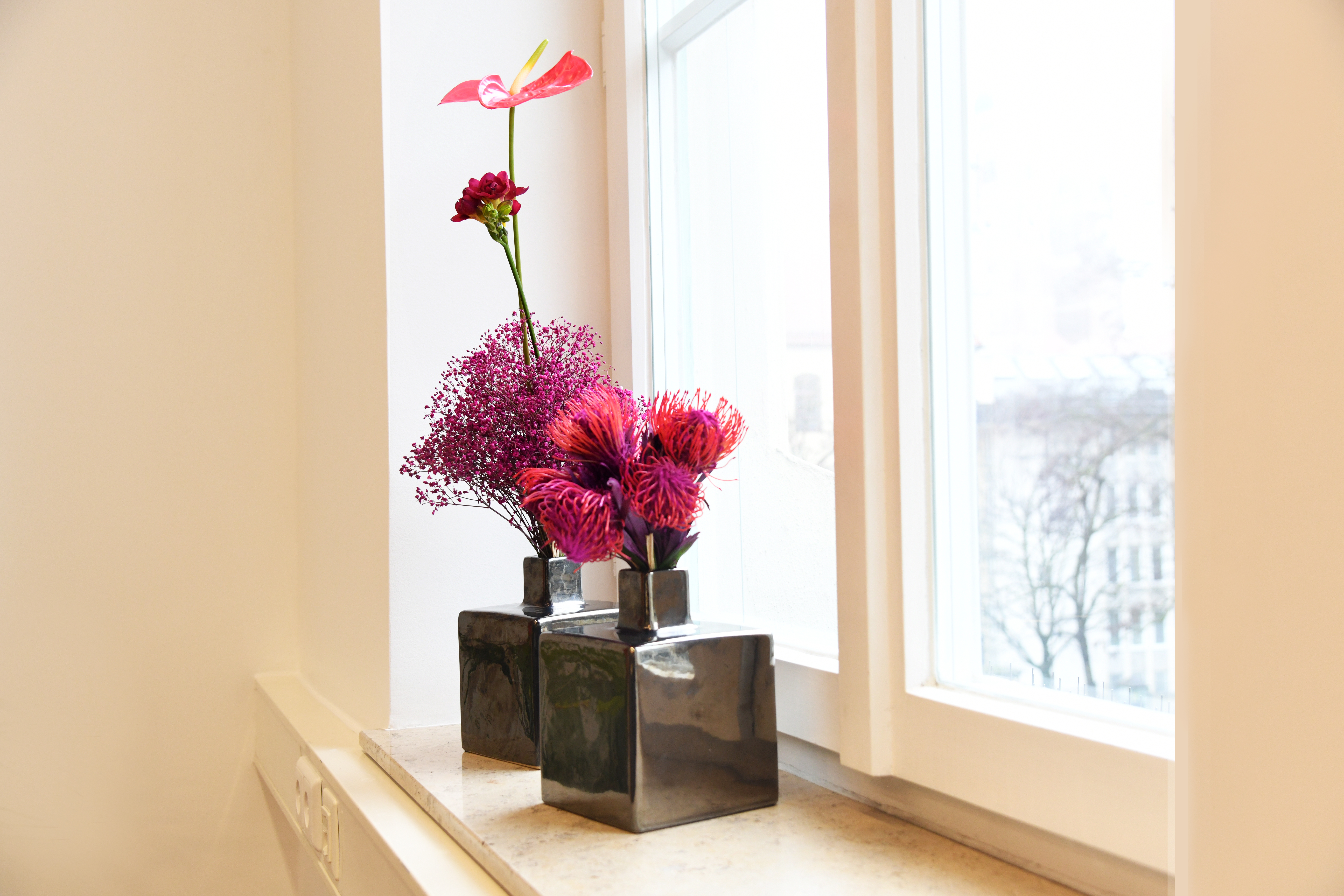 Anthurien-Blumen in der Notarkanzlei Pöllmann in München