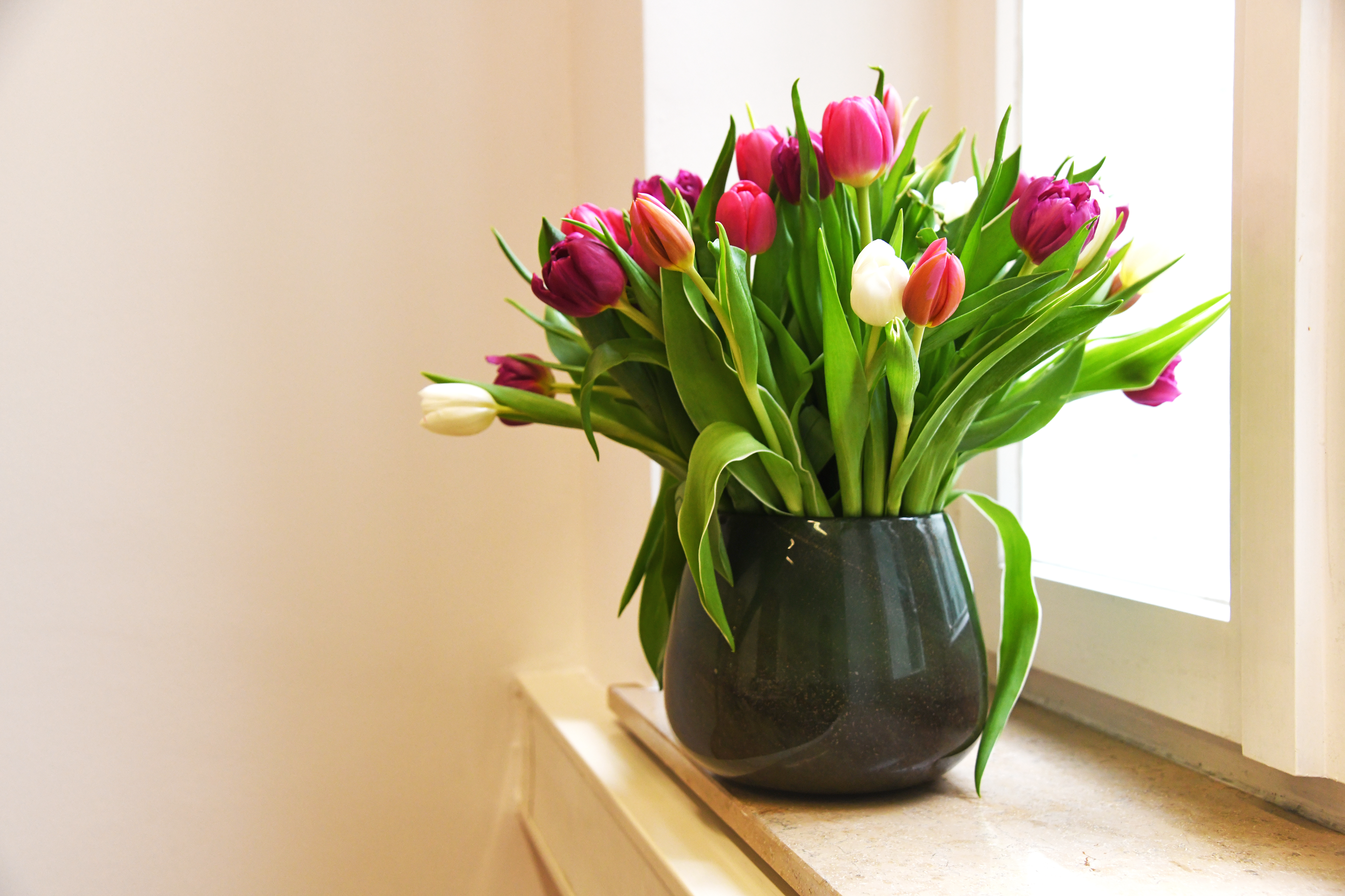 Tulpenstrauß in der Notarkanzlei Pöllmann in München
